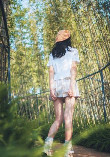 《探索者的羽翼》